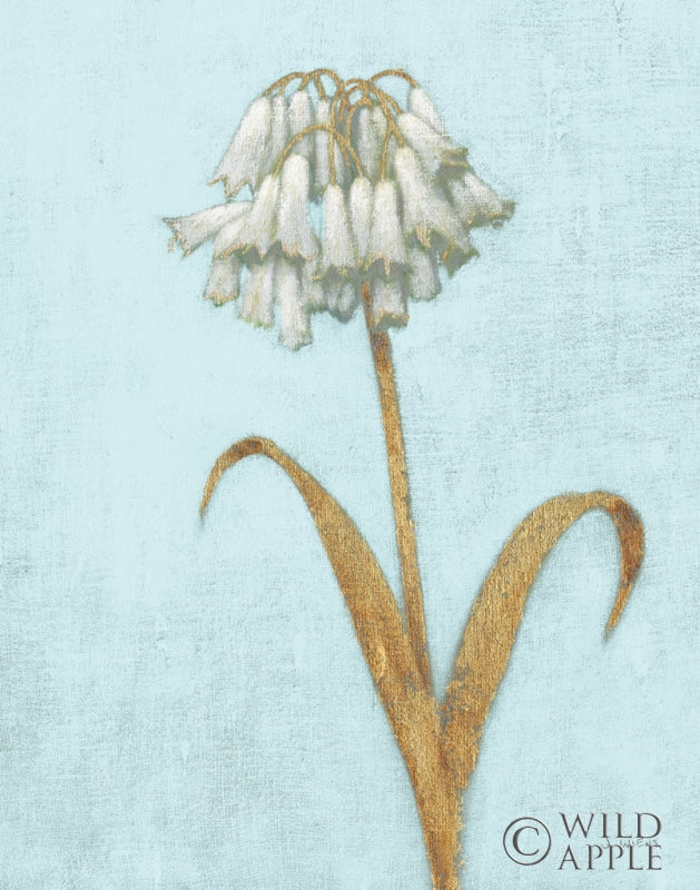 Reproduction of Summer II REB Crop by James Wiens - Wall Decor Art