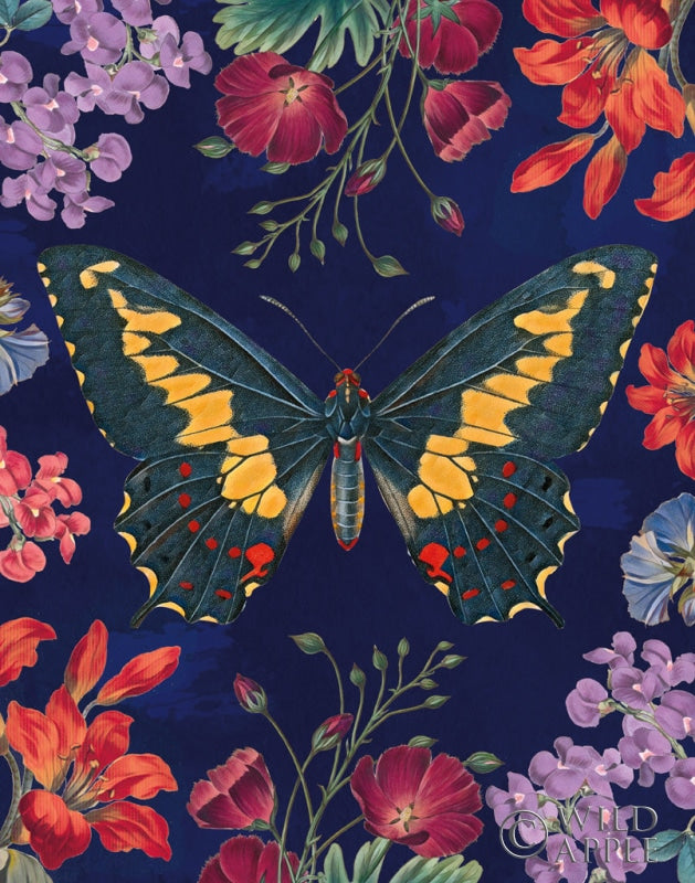 Reproduction of Butterfly Garden III Dark by Wild Apple Portfolio - Wall Decor Art