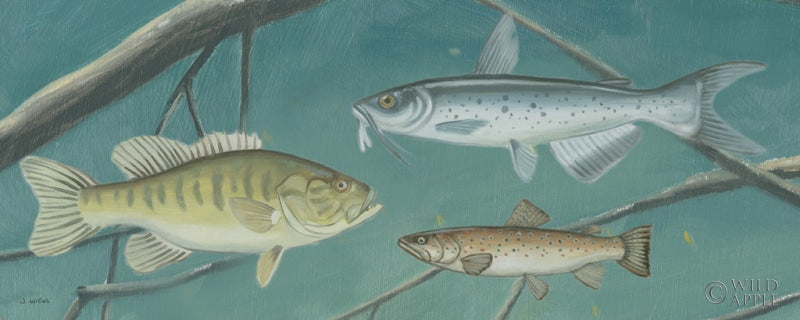 Reproduction of Fresh Catch III by James Wiens - Wall Decor Art