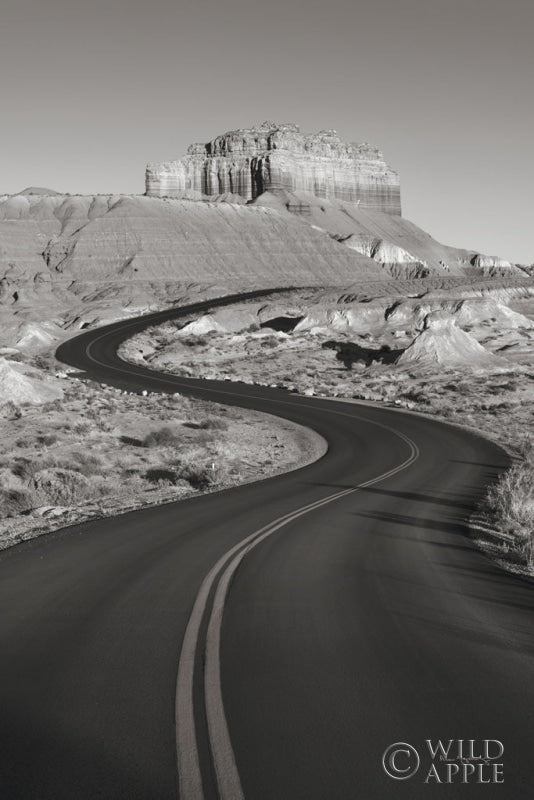 Reproduction of Goblin Valley State Park Rd BW by Alan Majchrowicz - Wall Decor Art