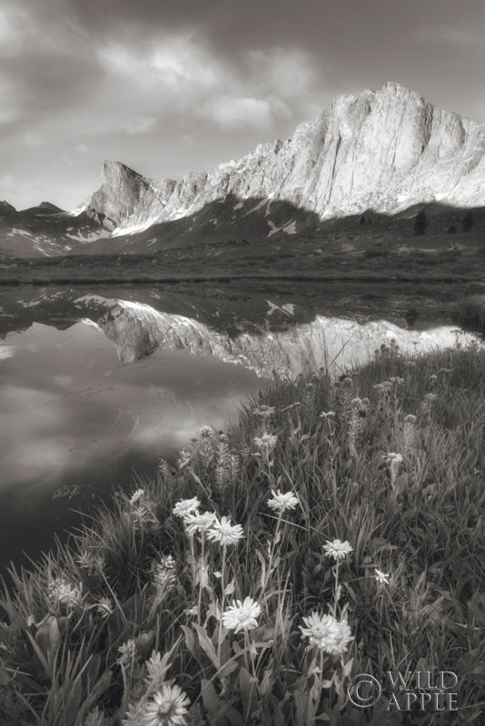 Pronghorn and Dragon Head Peaks BW