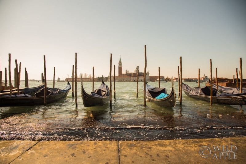 Reproduction of Venice Gondolas by Aledanda - Wall Decor Art