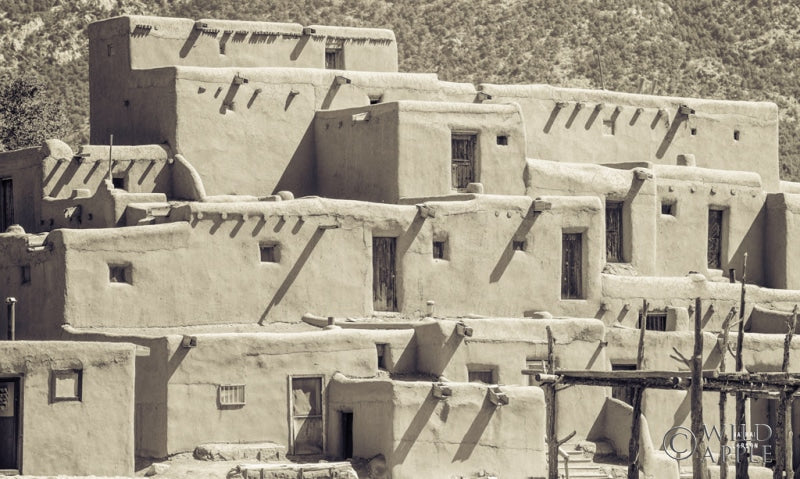 Reproduction of Summer Shadows by Nathan Larson - Wall Decor Art