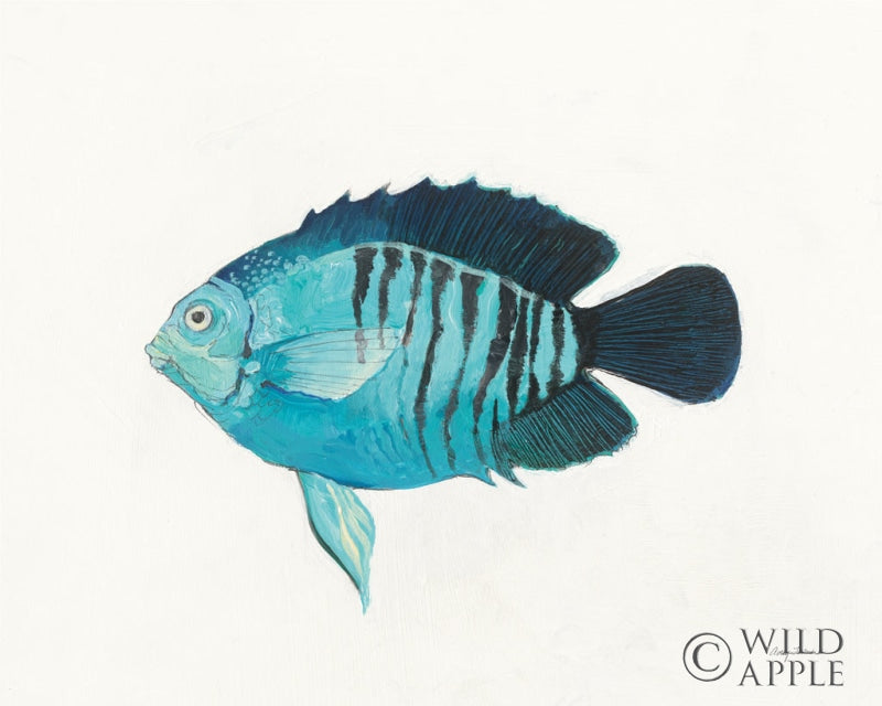 Reproduction of Ocean Life I by Avery Tillmon - Wall Decor Art