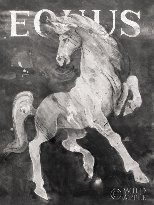 Reproduction of Equus Stallion BW by Albena Hristova - Wall Decor Art