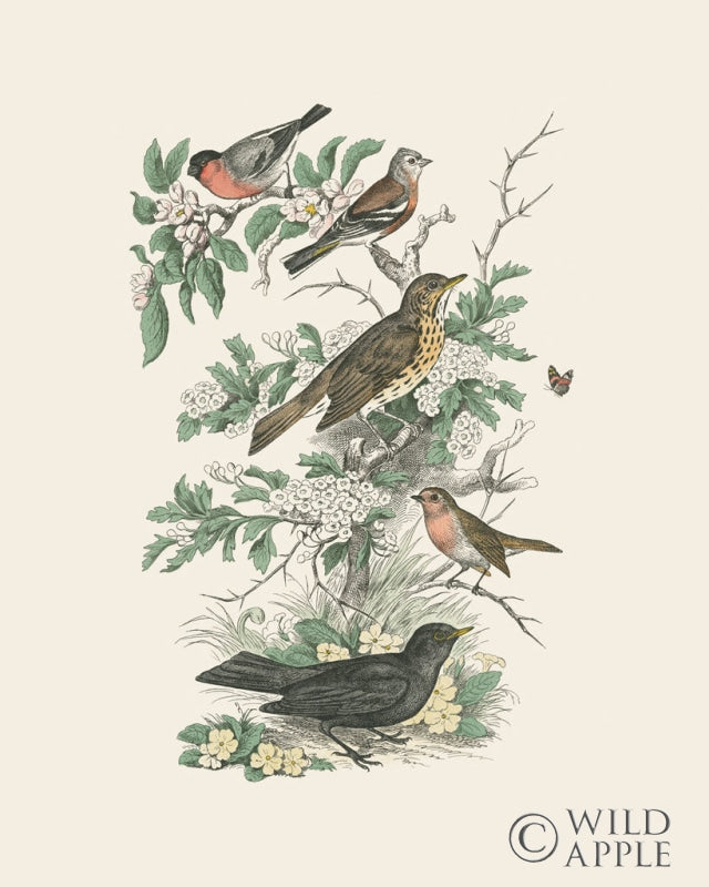 Reproduction of Honeybloom Bird I by Wild Apple Portfolio - Wall Decor Art