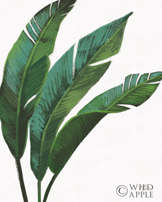 Reproduction of Emerald Banana Leaves I by Janelle Penner - Wall Decor Art