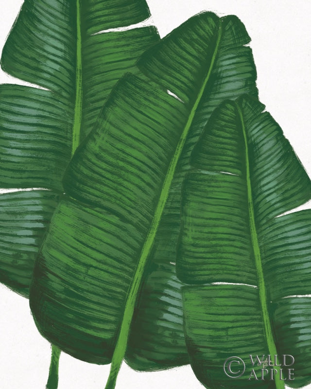 Reproduction of Emerald Banana Leaves II by Janelle Penner - Wall Decor Art