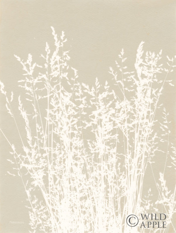 Reproduction of Ornamental Grass I Neutral by Kathy Ferguson - Wall Decor Art
