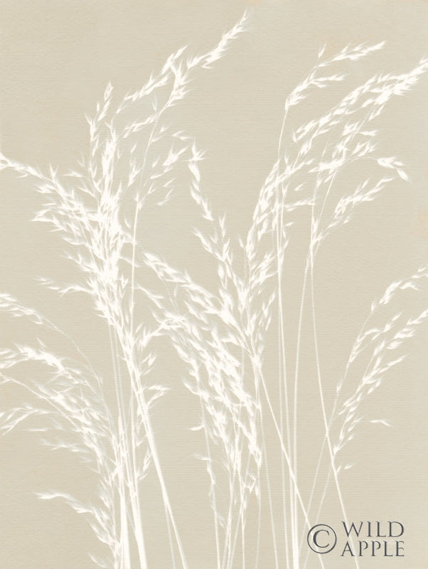 Reproduction of Ornamental Grass V Neutral by Kathy Ferguson - Wall Decor Art