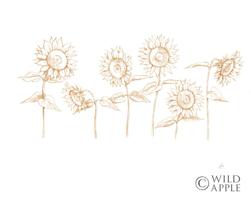 Reproduction of Sunshine Seeds III by Daphne Brissonnet - Wall Decor Art