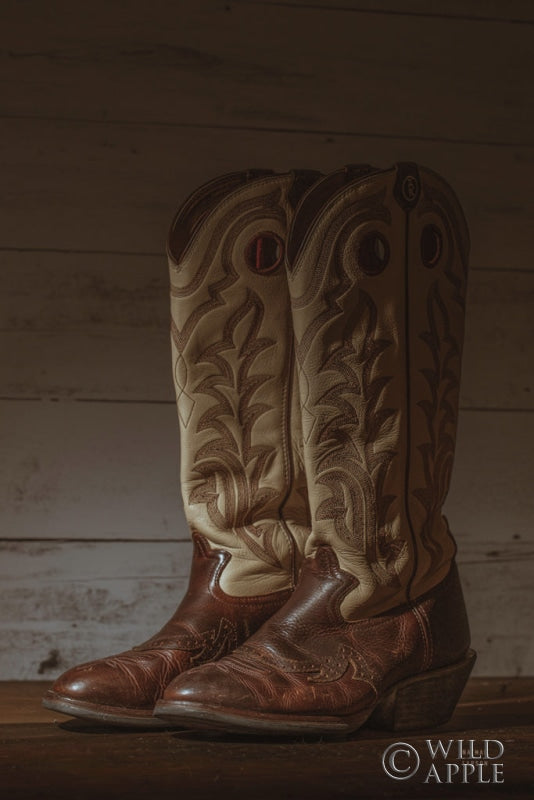 Cowboy Boots VIII