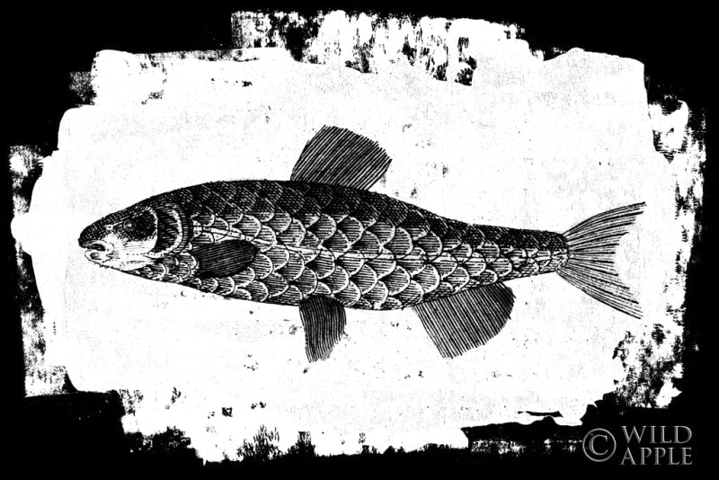 Reproduction of Fish II by Sarah Adams - Wall Decor Art