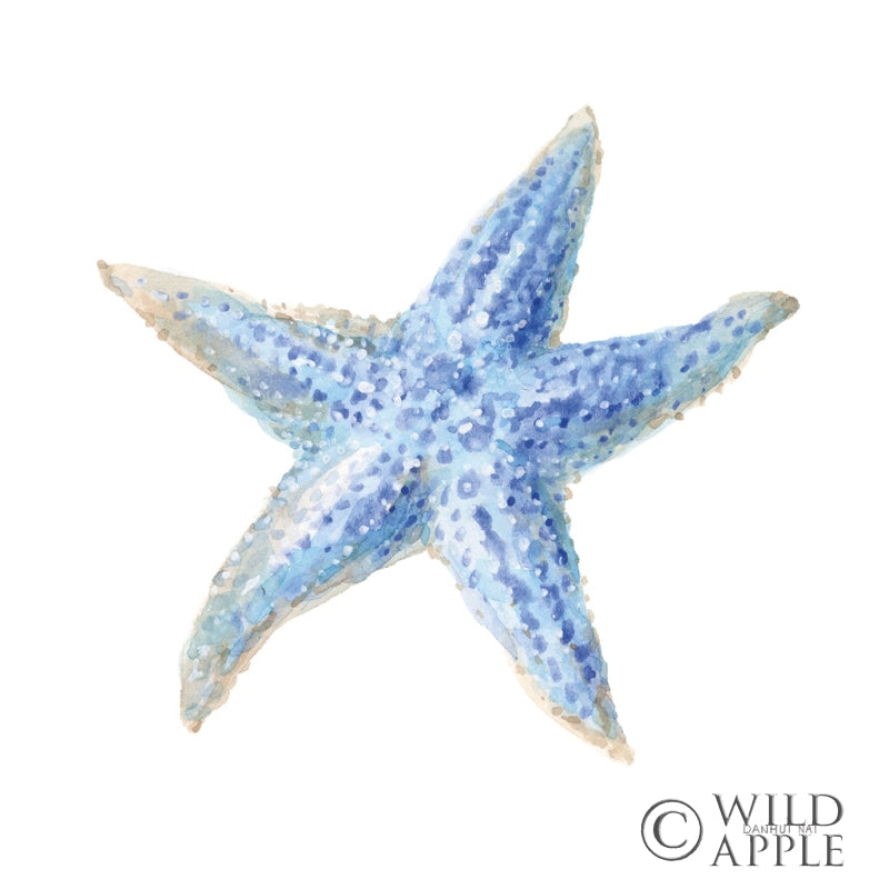 Reproduction of Undersea Starfish by Danhui Nai - Wall Decor Art