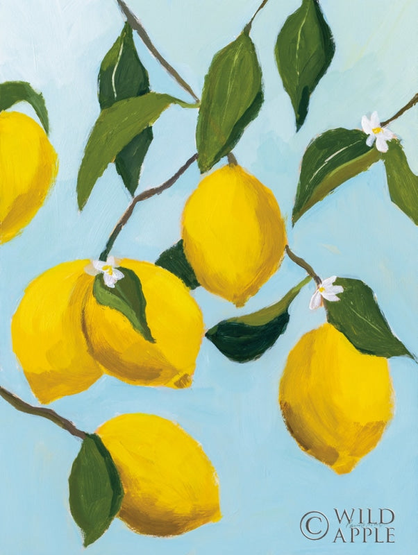 Reproduction of Lemon Tree by Pamela Munger - Wall Decor Art