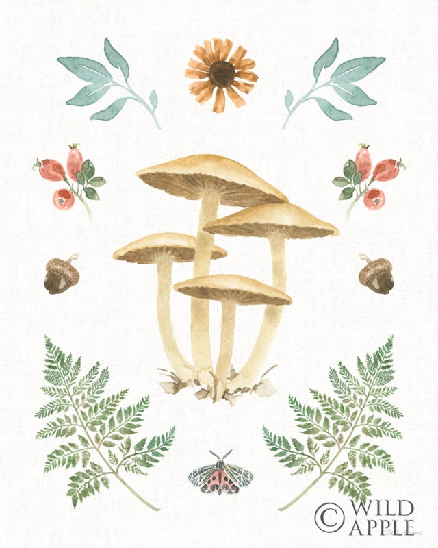 Reproduction of Forest Finds X by Beth Grove - Wall Decor Art