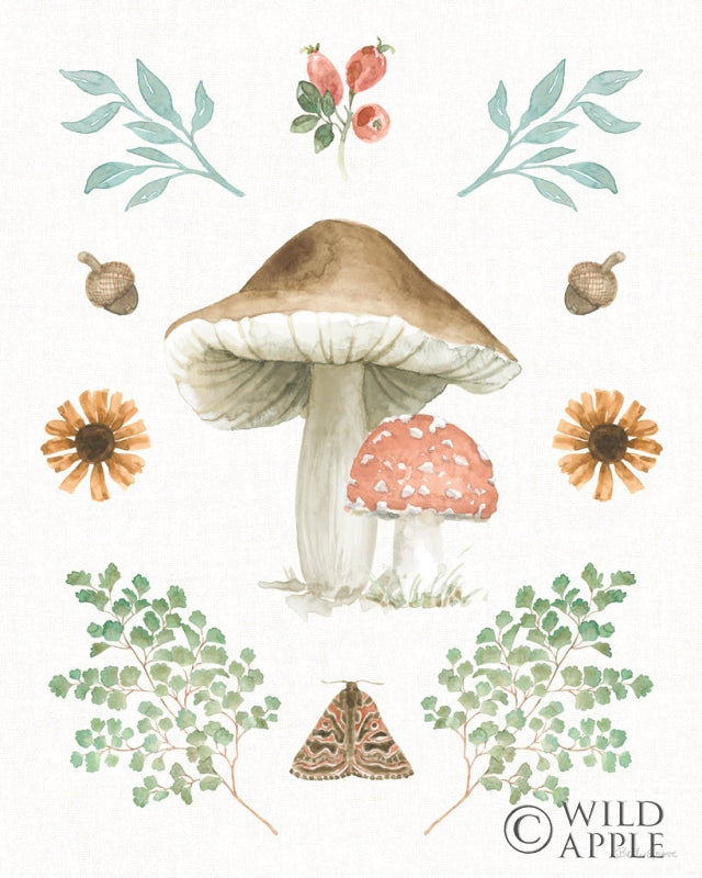 Reproduction of Forest Finds XI by Beth Grove - Wall Decor Art