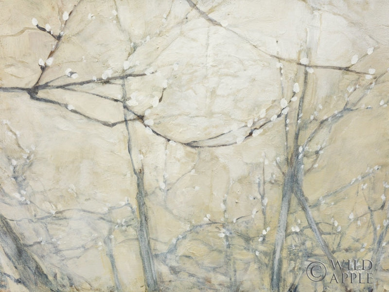 Reproduction of Budding Pussy Willow by Julia Purinton - Wall Decor Art