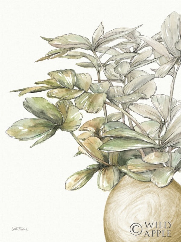 Reproduction of Potted Leaves II by Leslie Trimbach - Wall Decor Art