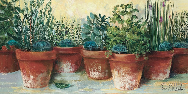 Reproduction of Potted Herbs II by Carol Rowan - Wall Decor Art