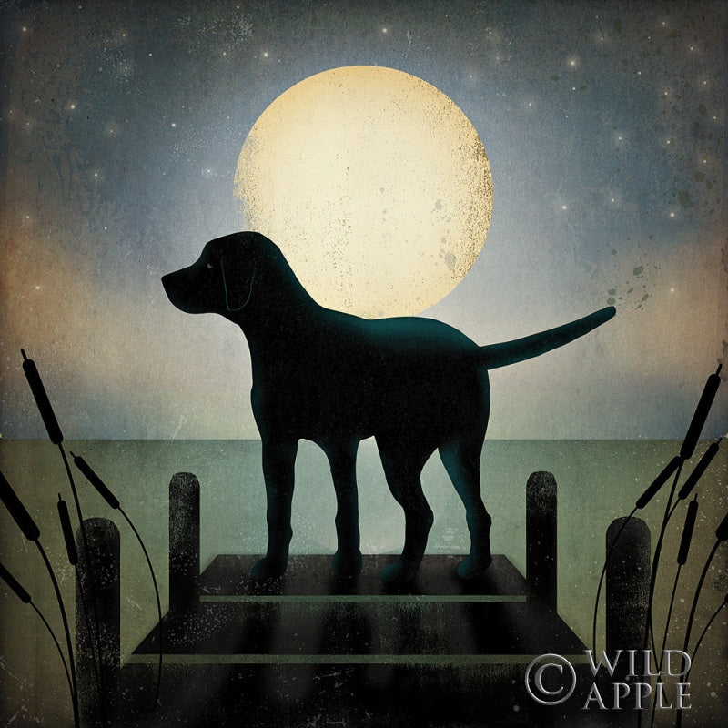 Moonrise Black Dog