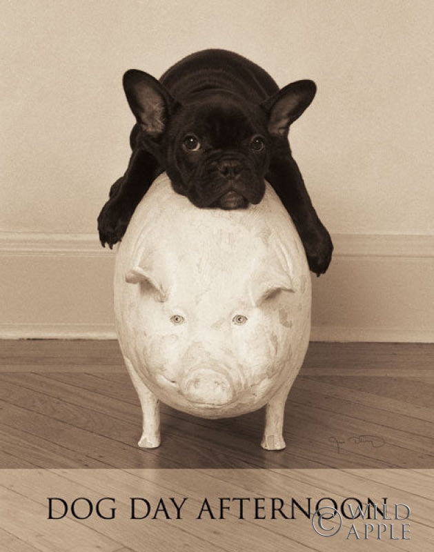 Reproduction of Dog Day Afternoon by Jim Dratfield - Wall Decor Art