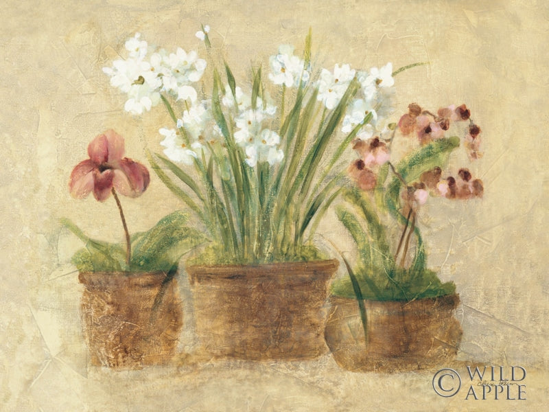 Reproduction of Garden Orchid and Narcissus by Cheri Blum - Wall Decor Art