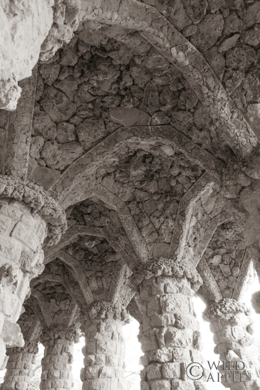 Gaudi Vaults I Posters Prints & Visual Artwork