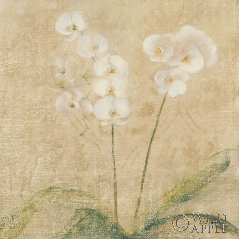 Orchid Square Posters Prints & Visual Artwork