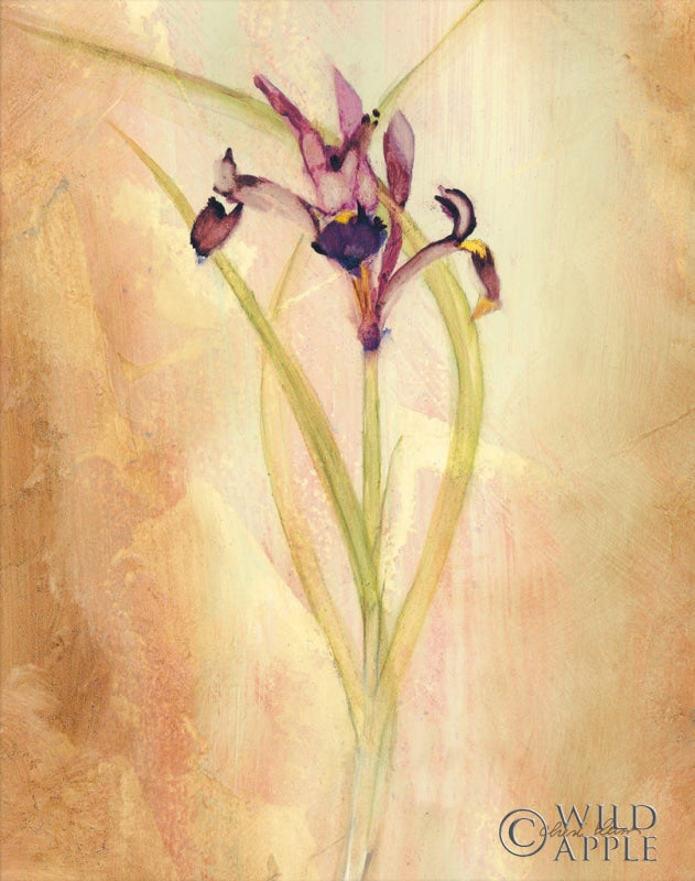 Purple Iris Posters Prints & Visual Artwork