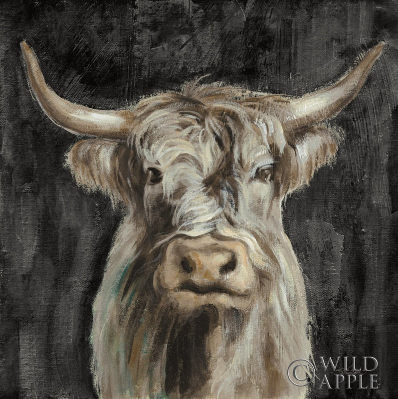 Highland Cow On Black Posters Prints & Visual Artwork