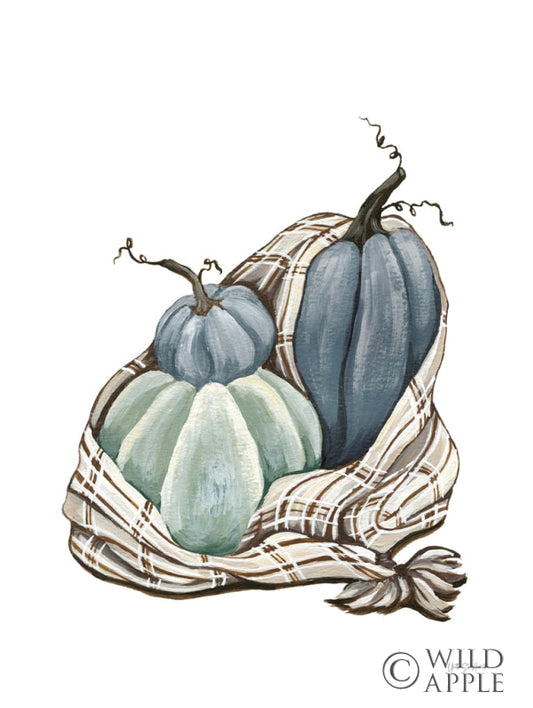 Harvest Cozy Pumpkins Blue I Posters Prints & Visual Artwork