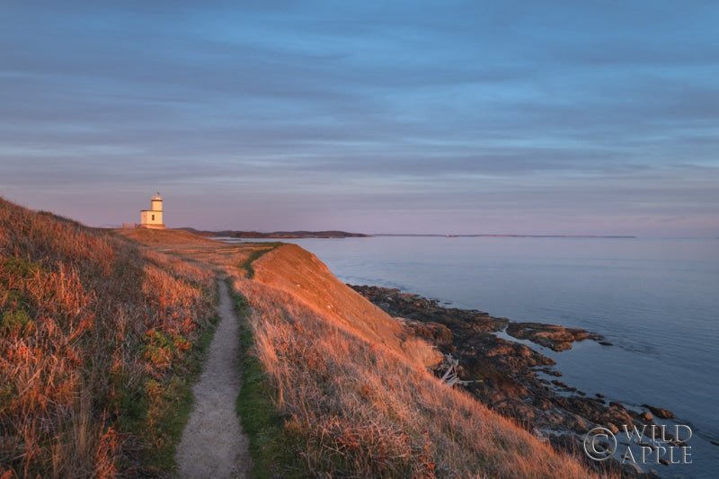 Evening Light Over Cattle Point Posters Prints & Visual Artwork