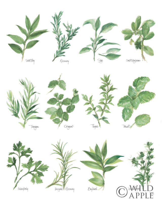 Reproduction of Herb Chart by Chris Paschke - Wall Decor Art