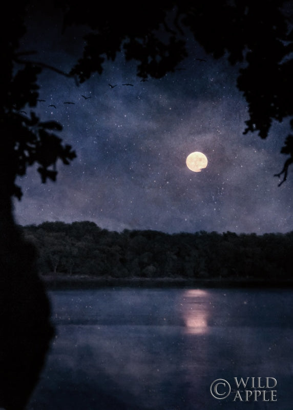 Reproduction of Full Moon Blues by Debra Van Swearingen - Wall Decor Art