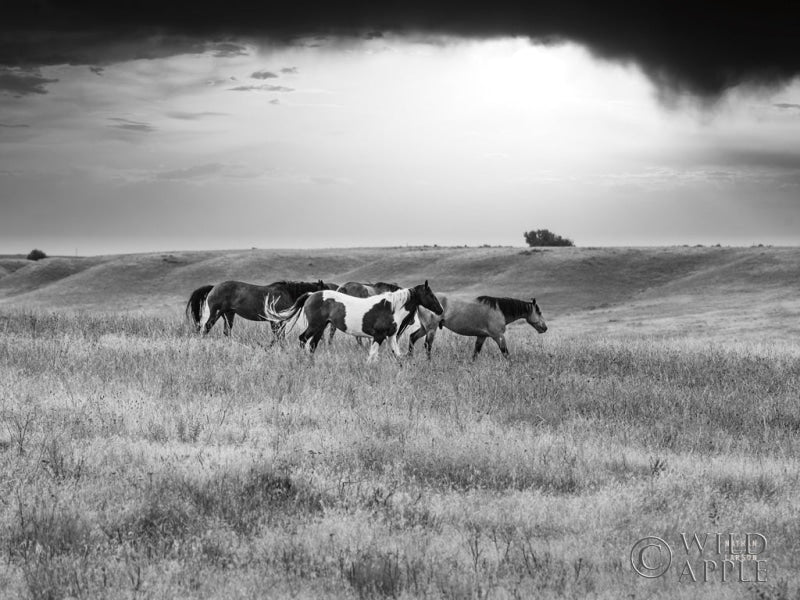 Reproduction of Sunset Rains Crop by Nathan Larson - Wall Decor Art