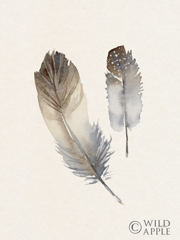 Reproduction of Falling Feathers I by Katrina Pete - Wall Decor Art