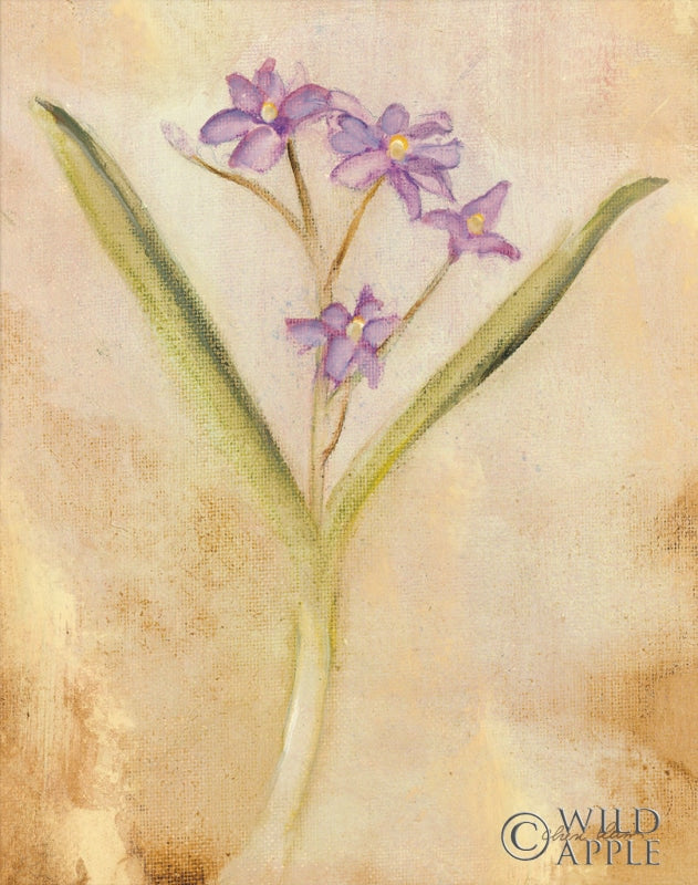 Reproduction of Purple Scilla by Cheri Blum - Wall Decor Art