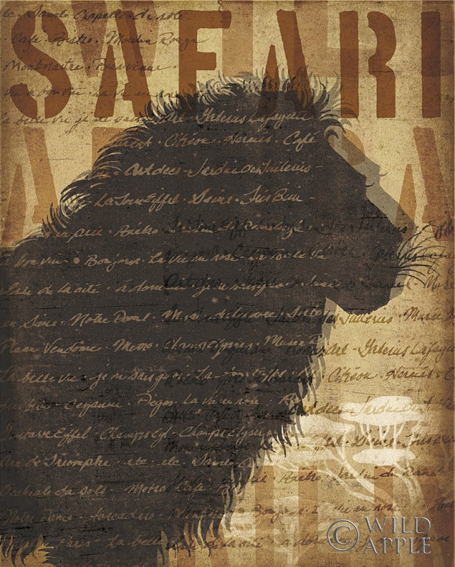 African Lion Posters Prints & Visual Artwork