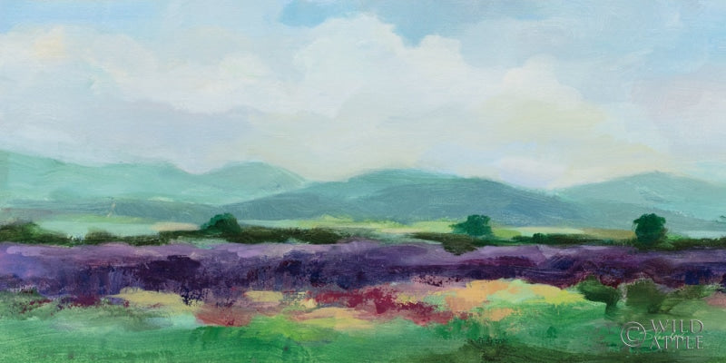May Lavender Field I Posters Prints & Visual Artwork
