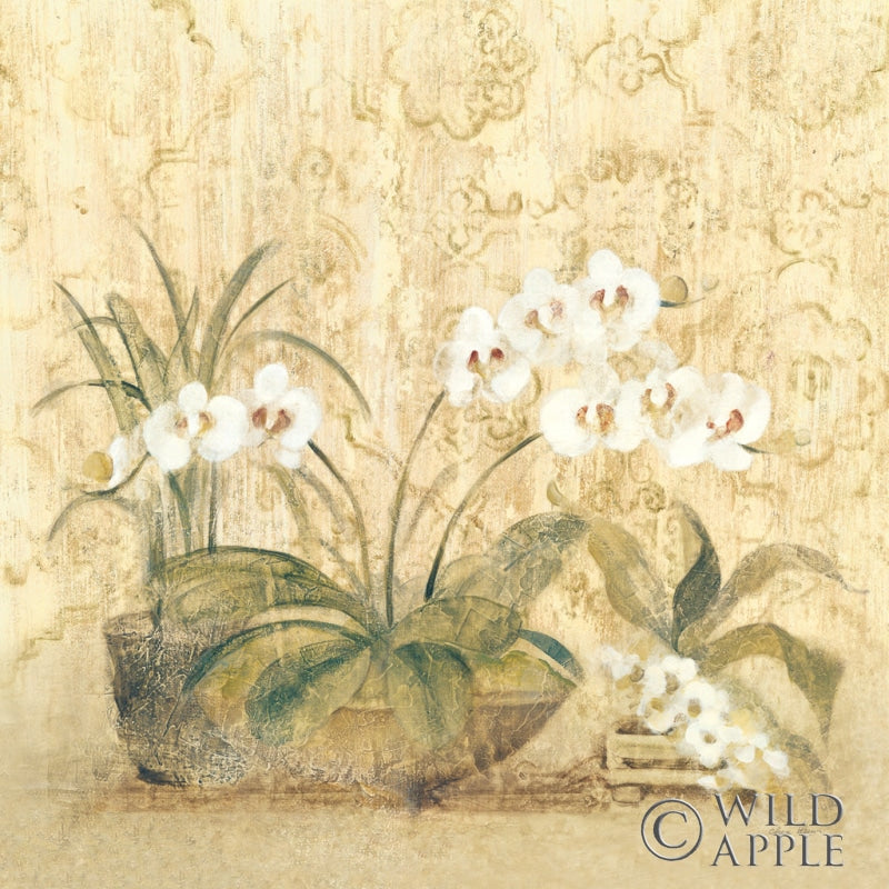 Reproduction of Espirit Orchid by Cheri Blum - Wall Decor Art