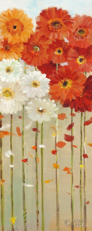 Reproduction of Daisies Fall II by Danhui Nai - Wall Decor Art