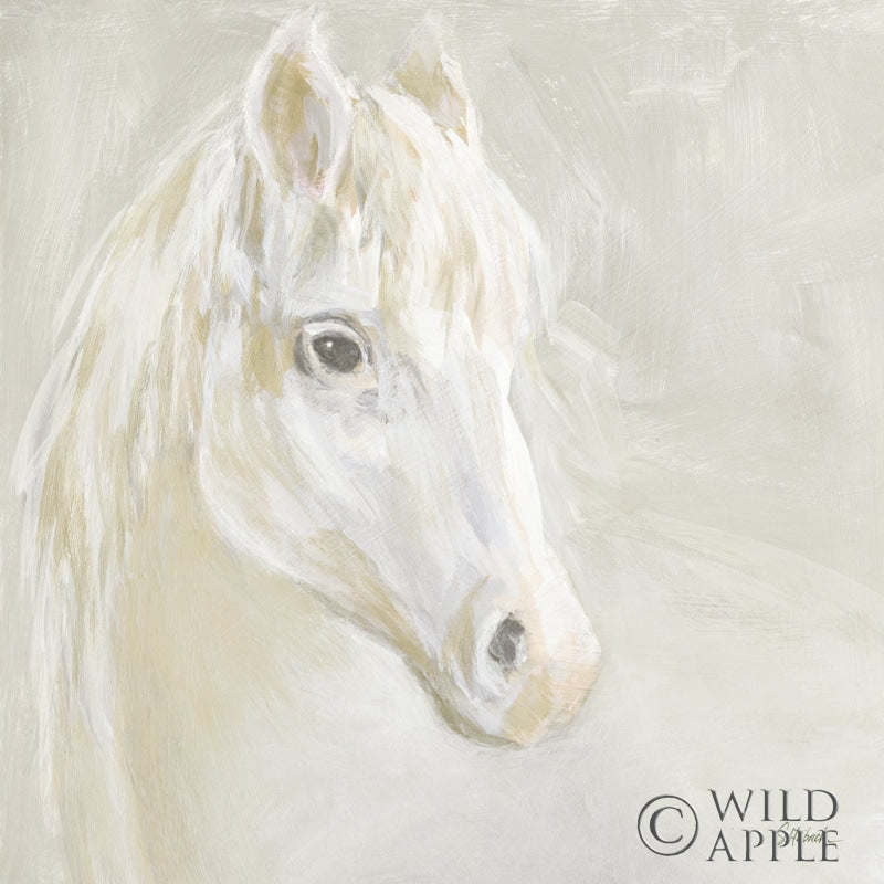 Reproduction of Gentle White Horse by Sue Schlabach - Wall Decor Art
