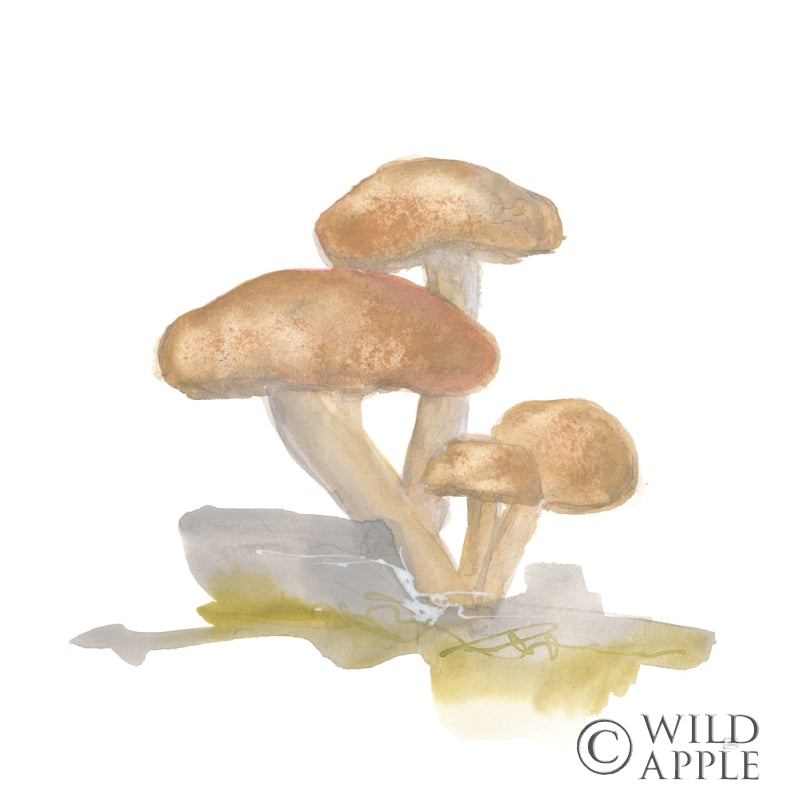 Mellow Mushrooms Iv Posters Prints & Visual Artwork