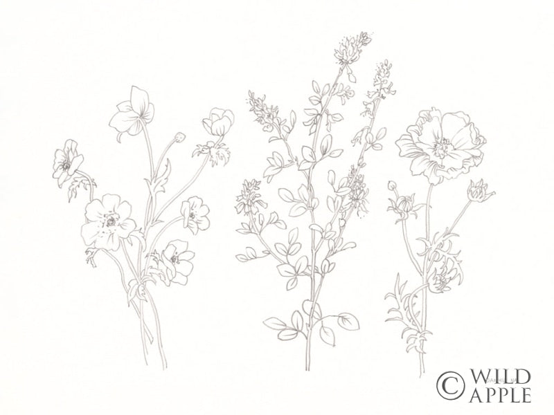 Reproduction of Floral Trio by Danhui Nai - Wall Decor Art