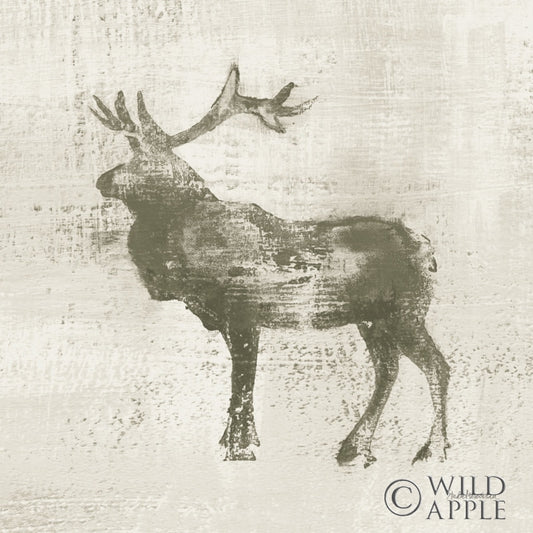 Cabin Elk Study Posters Prints & Visual Artwork