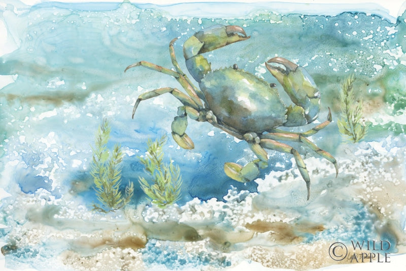 Reproduction of Under Sea Life III by Leslie Trimbach - Wall Decor Art