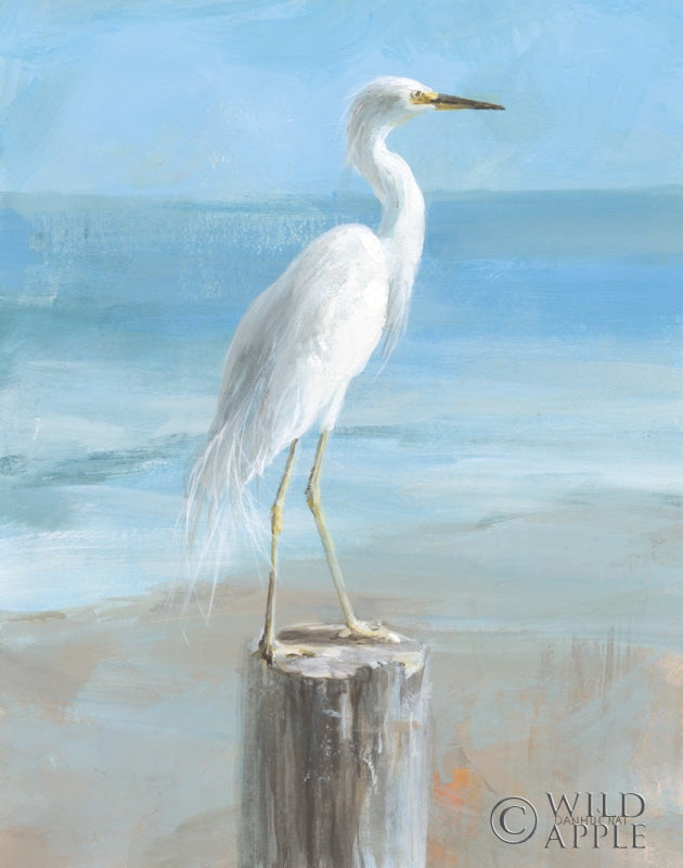 Reproduction of Seaside Egret by Danhui Nai - Wall Decor Art