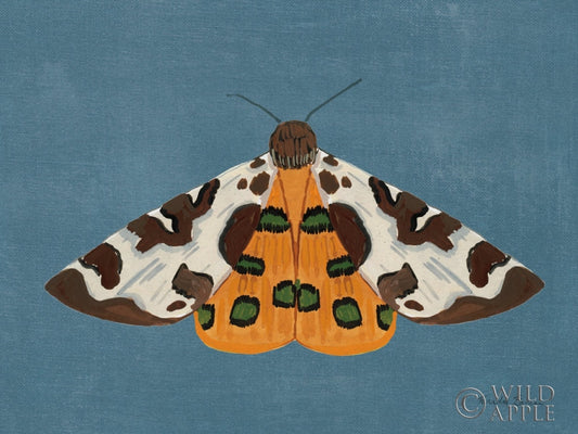 Textured Moth Ii Posters Prints & Visual Artwork