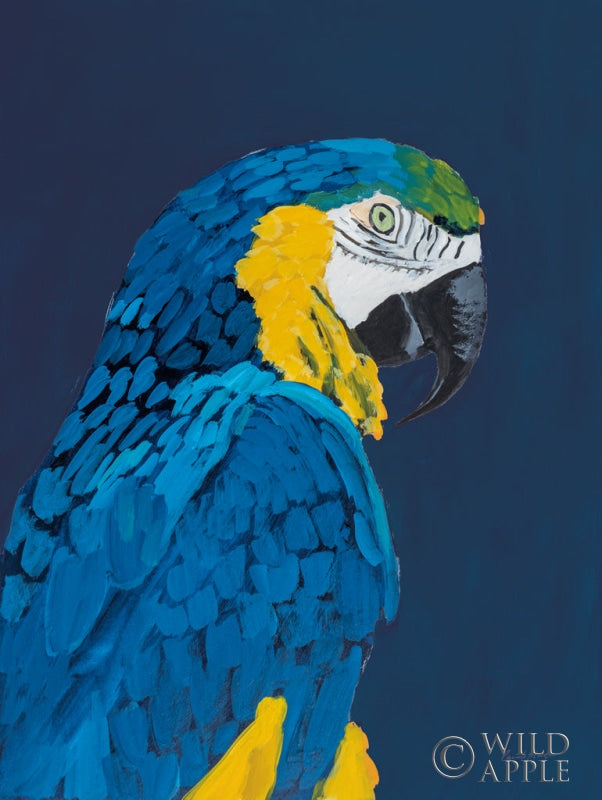 Blue And Gold Macaw Navy Posters Prints & Visual Artwork
